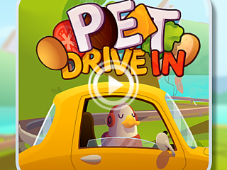 455719 pet drive in