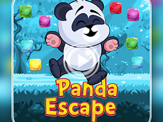 456224 panda escape