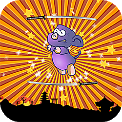 443840 ninja pig
