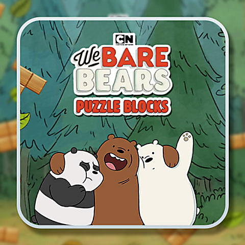 456256 we bare bears blocks